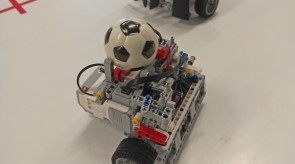 IMG_20230331_073549.jpg
